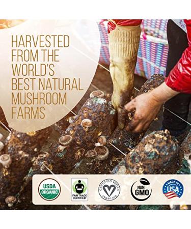 La Republica Big Shot Organic Mushroom Coffee - 120 Servings | 7 Superfood Mushrooms | Lion's Mane, Reishi, Chaga, Cordyceps, and More | Caffeinated Instant Mushroom Powder - 8.48 Ounce Pack - Buy Online on GoSupps.com