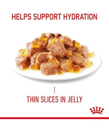 Royal Canin Light Weight Care Complete Adult Wet Cat Food in Jelly 24 x 85g - Buy Online on GoSupps.com