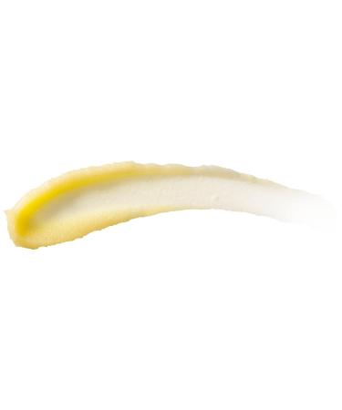 Burt's Bees Lemon Butter Cuticle Cream - 0.6 oz (Pack of 3) | Moisturizing Hand Skin Care for Dry Skin | 100% Natural Formula - Buy Online on GoSupps.com