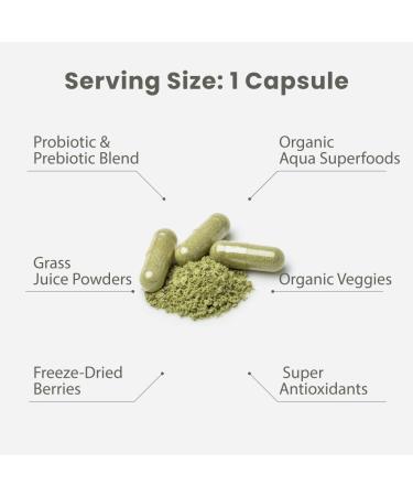 Paradise Herbs Earth's Blend Once Daily Multivitamin for Men, No Iron, 48 Organic Superfoods, Probiotics, Antioxidants, Vitamins A, B12, C, D, K2,120 Count No Iron 120 Count (Pack of 1) - Buy Online on GoSupps.com