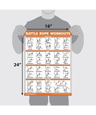 Quickfit Exercise Poster Set - Ultimate Guide for Battle Seil Kettlebell Resistance Straps & More | 18x27 Fitness Wall Art - Buy Online on GoSupps.com
