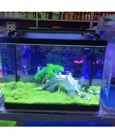 Haloppe 500 Aquarium Plant Seeds - Ideal for Home Garden & Water Decor | Perfect for Aquariums & Front Gardens - Buy Online on GoSupps.com