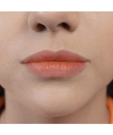 YuYa Republic Cosmetics Soledad Long Lasting Tint - Aloe Vera Salmon Pink for Lips, Cheeks, and Eyes - Buy Online on GoSupps.com