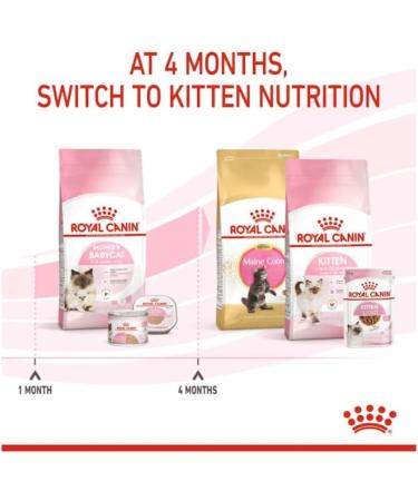 Royal Canin Mother & Babycat Dry Cat Food 4 x 400g - Buy Online on GoSupps.com