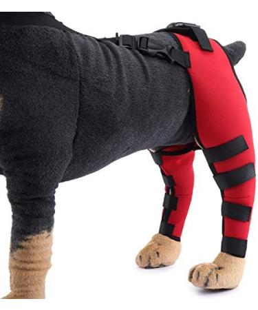 Pet Dog Knee Brace ACL Brace for Dogs Rear Leg Dog Braces for Back Leg for Support for Heals Prevents Injuries Sprains Red Medium Medium Red - Buy Online on GoSupps.com