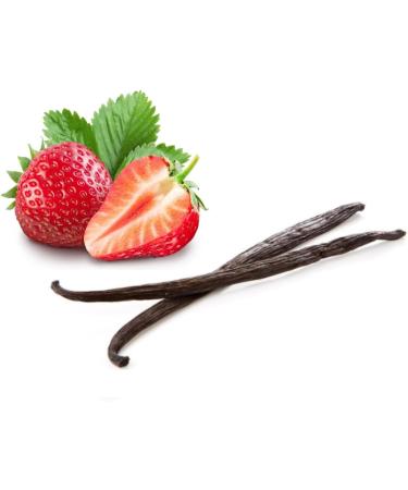 LONDON FRUIT & HERB COMPANY London Fruit | Strawberry and Vanilla Infusion | Hibiscus Strawberry Vanilla Infusion Single-Use Bags - 6 x 20 Filters (240g) | Caffeine-Free Herbal Tea - Buy Online on GoSupps.com