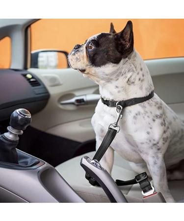 2-Piece Dog Car Belt & Harness Adapter - Padded Leash Included | Universal Fit for Dog Safety in Cars - Buy Online on GoSupps.com