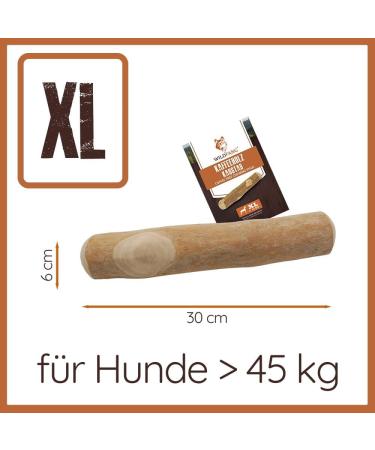 Buy Wildfang Coffee Wood Dogs - Durable 100% Natural Chewing Root for Dogs & Puppies | XL Size for Dogs Over 45 kg - Buy Online on GoSupps.com