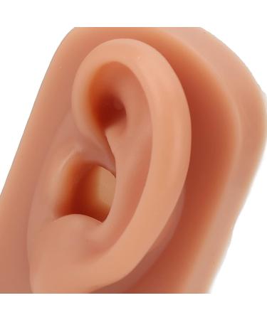 Dark Skin Tone Silicone Human Ear Model for Medical Training - Left & Right | Educational Practice Model - Buy Online on GoSupps.com