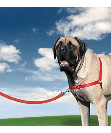PetSafe Easy Walk Harness - Anti-Pull Dog Harness with 1.8M Leash - Size XL Red - Reduces Choking & Coughing - International Shipping Available - Buy Online on GoSupps.com