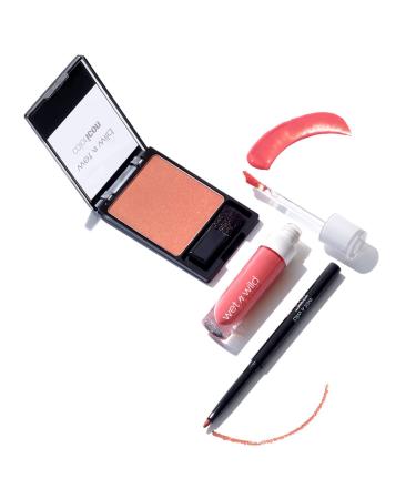 wet n wild Edit Makeup Set Peaches And Cream MegaLast Liquid Catsuit Peach Style Color Icon Blush Pearlescent Pink Perfect Pout Gel Lip Liner Think Flamingo