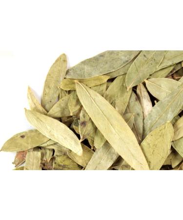 senna herbal leaves tea 1lb - Buy Online on GoSupps.com