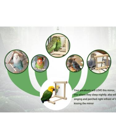 NINGVIHE Bird Mirror Bird Swing Parrot Cage Toys Bird Toy for Parrot Parakeets Conures Cockatiels Cage Swing Wooden Fun Play Toy for Birds (2 PACK) - Buy Online on GoSupps.com