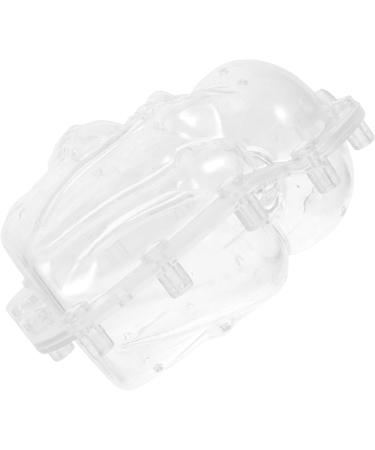 Happyyami 5pcs Fruit Shaping Watermelon Transparent Forming Stereotypes Ginseng Fruit - Buy Online on GoSupps.com