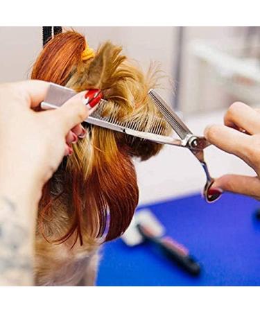 Zwini Pet Grooming Scissors Set 5 in 1 Stainless Steel Pet Trimmer Kit Pet Grooming Scissors Set Hair Care for Dog Cat With 7.5-inch Cutting Scissors Thinning Shear Curved Scissors Grooming Comb - Buy Online on GoSupps.com