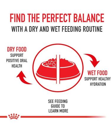 Royal Canin Canine Health Nutrition Mature Adult In Gel Wet Dog Food 13.5 oz. Case of 12 - Buy Online on GoSupps.com
