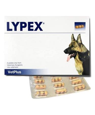 Lypex Pancreatic Enzyme Capsules for Dogs (Pack of 60)