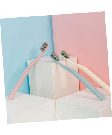 Beaupretty 6-Piece Stiff Brush Set | Adult Manual Tooth Cleaning & Stain Remover | Portable Toothbrush Cleaning Devices - Buy Online on GoSupps.com