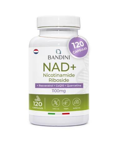 Bandini NAD+ liposomaal 120 capsules NAD supplement nicotinamide riboside chloride + Quercetine Resveratrol Coenzym Q10 Antiaging Energiemetabolisme 1100mg per portie 100 Vegan NonGMO