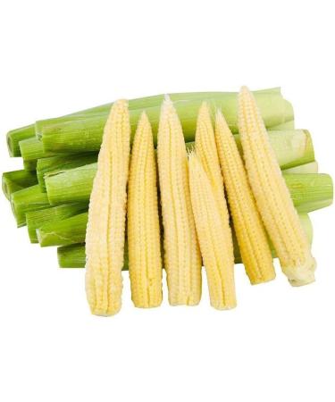 Small Corn bamboo shoots Small young corn 24g/bag hot and Spicy fresh crispy bamboo shoot crunchy tender corn vegetarian grain snack Spicy strips Latiao Chinese snack gift pack (Pickled Pepper 5bag) Pickled Pepper 5bag - Buy Online on GoSupps.com