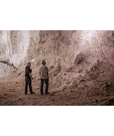 Gold Nugget Ghee's Utah Sea Salt: USDA Organic Grass-Fed Butter 8oz - Paleo & Keto Friendly - Buy Online on GoSupps.com