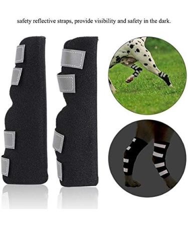 Hffheer 2pcs Dog Hind Legs Dog Knee Brace Support Dog Canine Rear Front Leg Hinged Hock Protector for Protection Against Injury and Sprain(M) - Buy Online on GoSupps.com