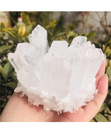 Home Decoration Natural Clear White Quartz Point Crystal Cluster Stones Home Goods ZJGIDTEM (Size : 400-500g) - Buy Online on GoSupps.com