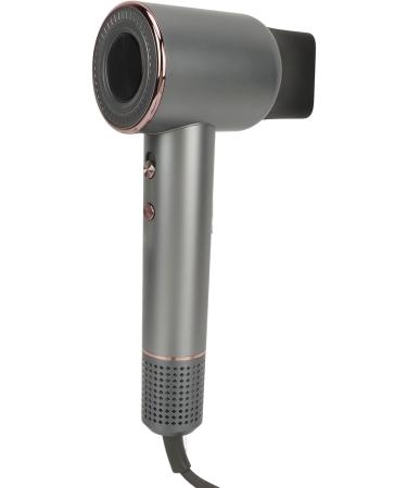 1600W Ionic Hair Dryer 110000RPM High Speed Negative Ion Hair Dryer for Home (US Plug 110V) - Buy Online on GoSupps.com