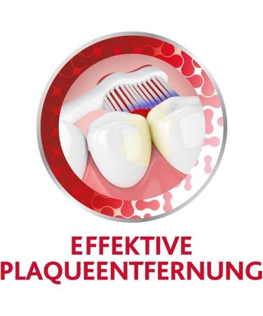 Periodontax Mouthwash Fresh Mint 300ml & Complete Protection Toothbrush - Daily Gum Care for Strong Teeth & Healthy Gums - Buy Online on GoSupps.com