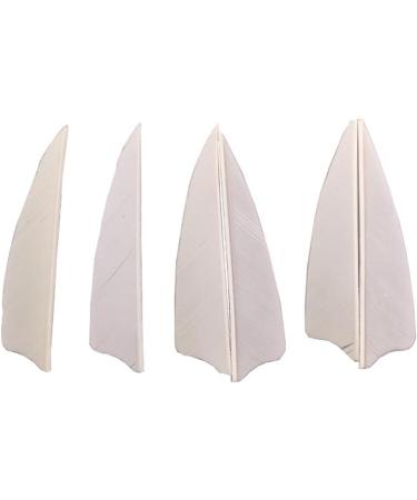 MILAEM 3 Inch Turkey Feather Fletching Hunting Arrows - Right Wing Vanes in White - Buy Online on GoSupps.com