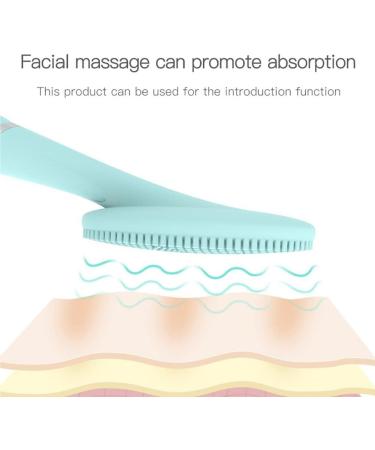 dijiusidy Face Cleansing Brush Vibrating Washing Brushes Hand-Held Rechargeable Beauty Skin Massager Salon Shop Instrument - Buy Online on GoSupps.com