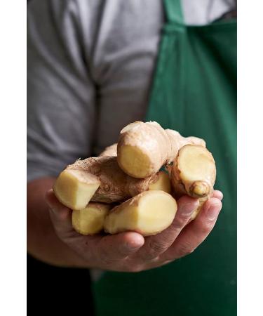 Buy Inge Ginger Syrup - Handmade Bavarian Fruit Ginger Syrup with Natural Spiciness | International Shipping Available - Buy Online on GoSupps.com