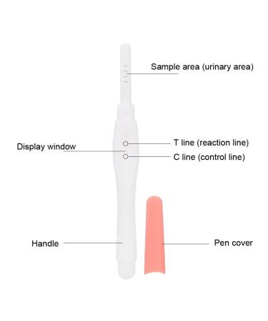 ANGGREK 5pcs Early Pregnancy Test Kit - Home HCG Urine Test Strips for Women - Accurate & Reliable Pregnancy Testing - Buy Online on GoSupps.com