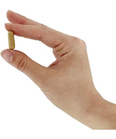 Detox 60 Veg Capsules - Natural Body Cleanse Supplement - Buy Online on GoSupps.com