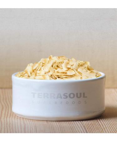 Terrasoul Superfoods Organic Toasted Coconut Chips 1.5 Lbs - Unsweetened & Unsalted - Perfectly Toasted 12 Ounce (Pack of 2) - Buy Online on GoSupps.com