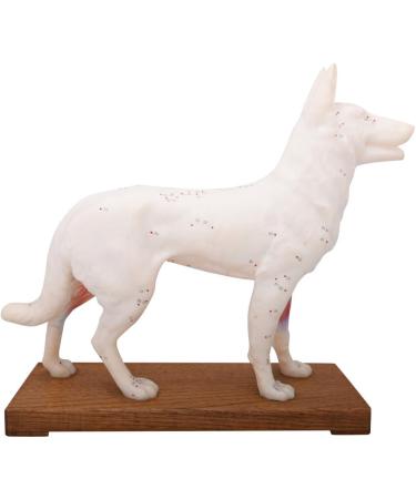 66Fit Dog Acupuncture Model - Essential Pressure Points for Veterinarians | International Shipping Available - Buy Online on GoSupps.com