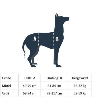 PetSafe CareLift Lifting Harness for Dogs - Size M | Support & Mobility Aid for Easy Lifting In and Out - Buy Online on GoSupps.com