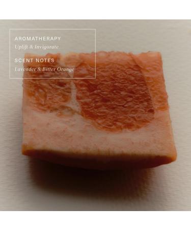 Oak Essentials Pure Gel Cleanser | Clarifying Gel Face Wash with Aloe and Amino Acids | Removes Dirt & Oil Without Drying 5 Fl Oz - Buy Online on GoSupps.com