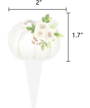 Pumpkin Cupcake Topper Floral Pumpkin Fall birthday Baby Shower Food Picks Dessert Toppers Pumpkin Watercolor 36PCS White - Buy Online on GoSupps.com