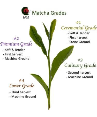 Japanese Matcha Green Tea Powder "Dreaming Matcha" Genuine Authentic Yamecha Yame tea Zen Relax Suvenior (200g Ceremonial Grade) - Buy Online on GoSupps.com