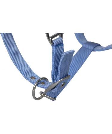 Halter with Plush Padding BASICLINE in Baby Blue for Shetty Pony Thoroughbred & Warmblood - 6 Colors Available | International Shipping - RL24 - Buy Online on GoSupps.com