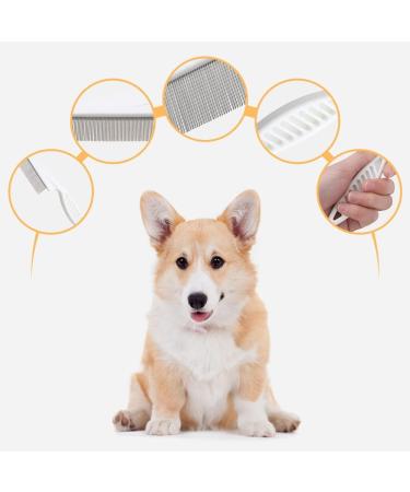 Pet Flea Cleaner Comb 2pcs Grooming Brush Magic Fine Pet Comb Stainless Steel Massage Comb Kit for Small Dogs and Cats (blue) - Buy Online on GoSupps.com
