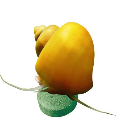 Sera Plankton Tabs Nature 50 ml - Falling Feed Tablets with 7% Krill for Aquarium Color Development - 1 Pack - Buy Online on GoSupps.com