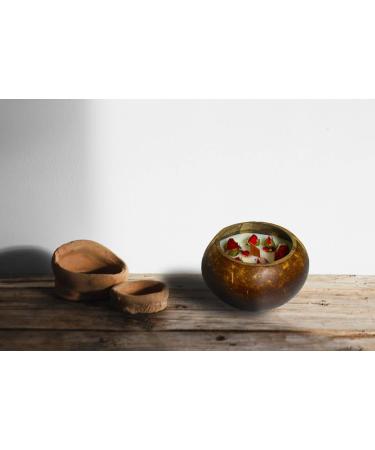 Natural Coconut Shell Bowl Candle - Pine Tree Scented - Handmade Candles - Eco-Friendly with Wooden Wick