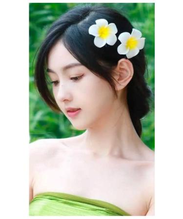 Hawaiian Hair Flower Clip Barrettes for Women - 6pc Set for Luau, Thin Hair, and Girls - Plumeria Hawaii Hair Accessories - Buy Online on GoSupps.com