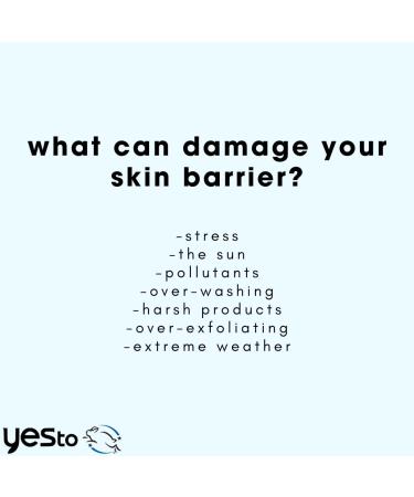 Yes To Awakening Hydration Eye Concentrate - Nourishing Vegan Eye Cream for Brighter Moisturized Skin | 0.5 Fl Oz - Buy Online on GoSupps.com