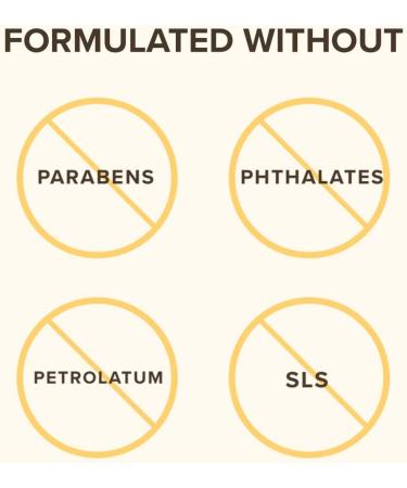 Burt's Bees 100% Natural Moisturizing Lip Balm Strawberry with Beeswax & Fruit Extracts - 4 Tubes - Buy Online on GoSupps.com