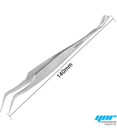 YNR Stainless Steel Flea Remover Fork - Pet Tick Removal Grooming Tool - Buy Online on GoSupps.com
