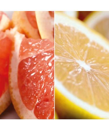  Sensonaturale SENSO NATURALE Solid Shower Foam with Invigorating Clay - Yellow Clay Aromatherapy Essential Oils of Lemon and Grapefruit - Shaving Foam - Vegan Concentrate - Equivalent to 750 ml liquid - Buy Online on GoSupps.com