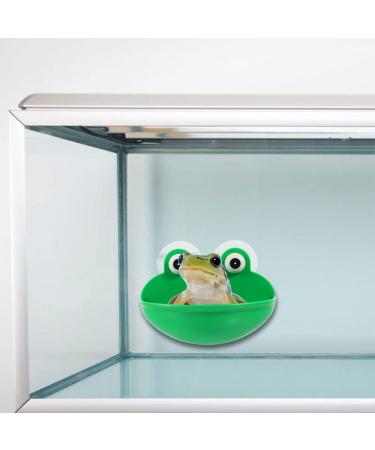 PATKAW 2pcs Reptiles Suction Cup Feeder Frog Habitat Lizard Feeding Food Cricket Bowl Water Dish Gecko Ledge Supplies Accessories for Gecko Bearded Dragon - Buy Online on GoSupps.com